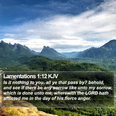Lamentations 1:12 KJV Bible Verse Image