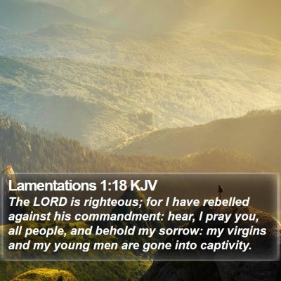 Lamentations 1:18 KJV Bible Verse Image