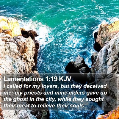 Lamentations 1:19 KJV Bible Verse Image