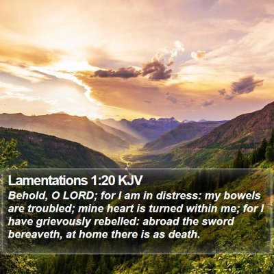 Lamentations 1:20 KJV Bible Verse Image