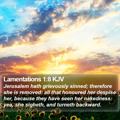 Lamentations 1:8 KJV Bible Verse Image