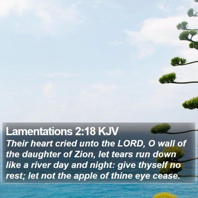 Lamentations 2:18 KJV Bible Verse Image