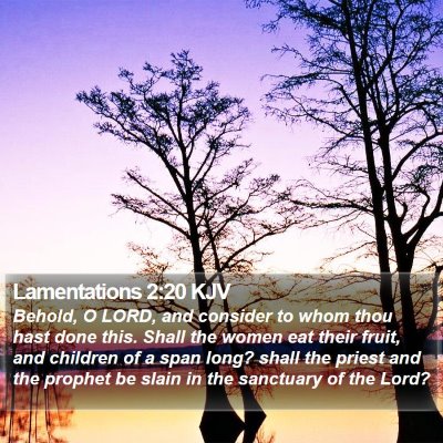Lamentations 2:20 KJV Bible Verse Image