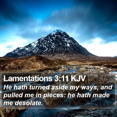 Lamentations 3:11 KJV Bible Verse Image