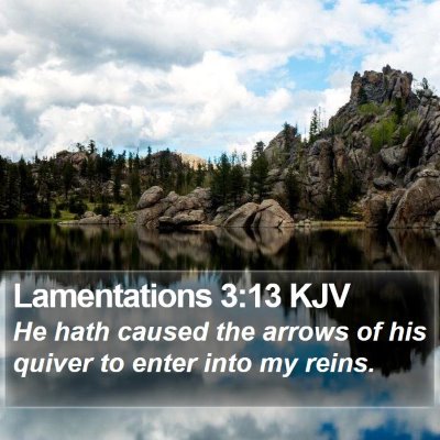 Lamentations 3:13 KJV Bible Verse Image