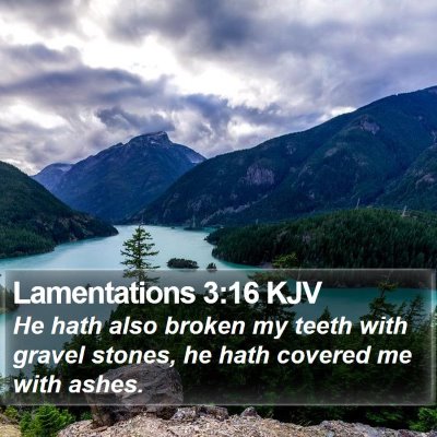 Lamentations 3:16 KJV Bible Verse Image