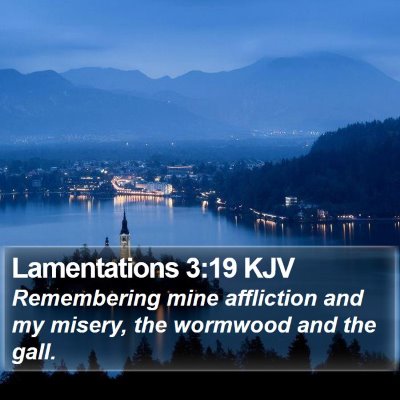 Lamentations 3:19 KJV Bible Verse Image