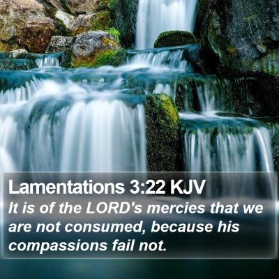 Lamentations 3:22 KJV Bible Verse Image