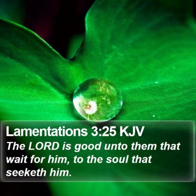 Lamentations 3:25 KJV Bible Verse Image