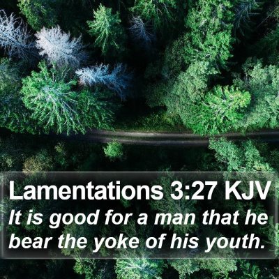 Lamentations 3:27 KJV Bible Verse Image