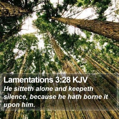 Lamentations 3:28 KJV Bible Verse Image