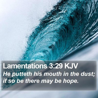 Lamentations 3:29 KJV Bible Verse Image