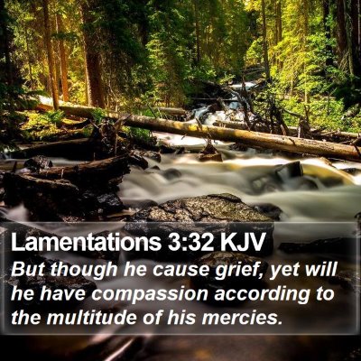 Lamentations 3:32 KJV Bible Verse Image
