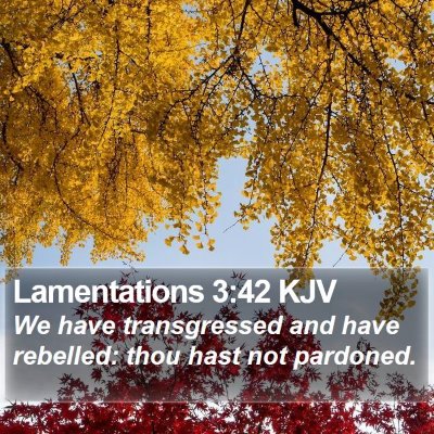 Lamentations 3:42 KJV Bible Verse Image