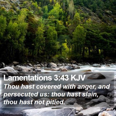 Lamentations 3:43 KJV Bible Verse Image