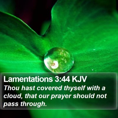 Lamentations 3:44 KJV Bible Verse Image