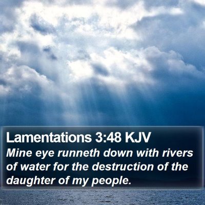 Lamentations 3:48 KJV Bible Verse Image