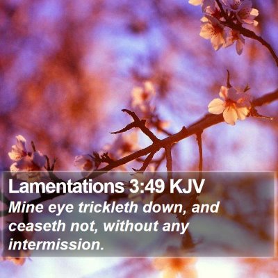 Lamentations 3:49 KJV Bible Verse Image
