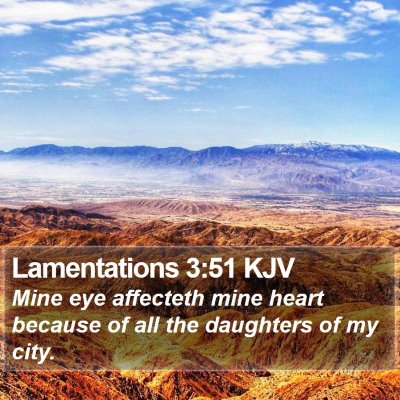 Lamentations 3:51 KJV Bible Verse Image