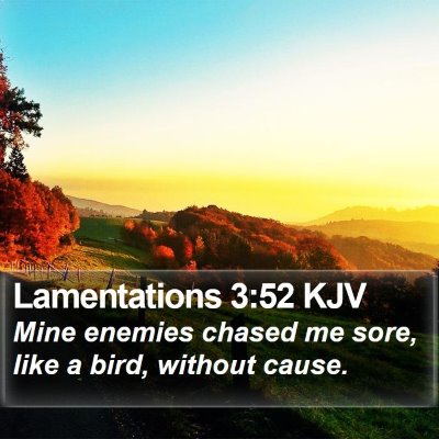 Lamentations 3:52 KJV Bible Verse Image