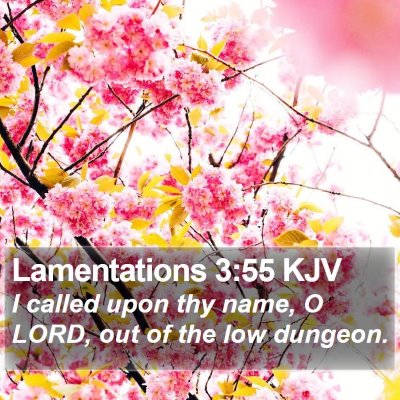 Lamentations 3:55 KJV Bible Verse Image