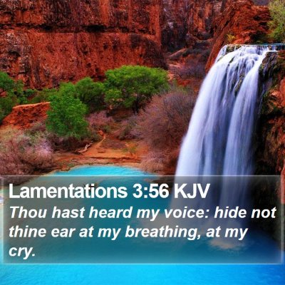 Lamentations 3:56 KJV Bible Verse Image