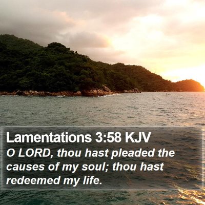 Lamentations 3:58 KJV Bible Verse Image