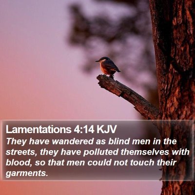 Lamentations 4:14 KJV Bible Verse Image