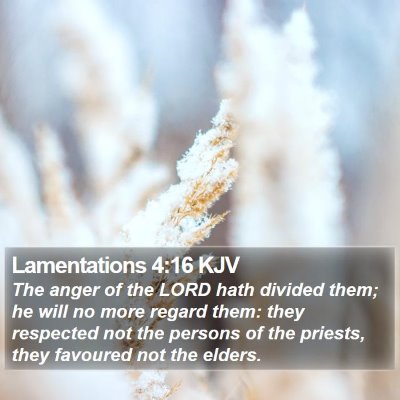 Lamentations 4:16 KJV Bible Verse Image