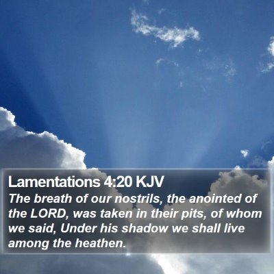 Lamentations 4:20 KJV Bible Verse Image