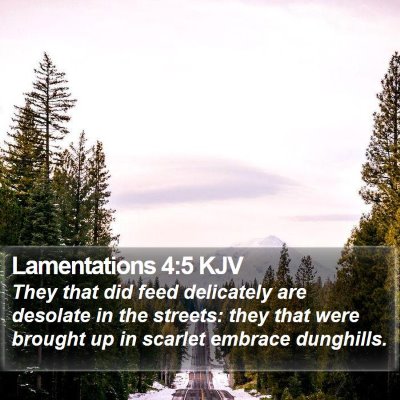 Lamentations 4:5 KJV Bible Verse Image