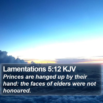 Lamentations 5:12 KJV Bible Verse Image