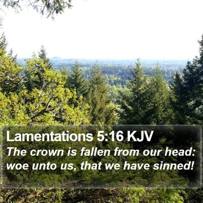 Lamentations 5:16 KJV Bible Verse Image