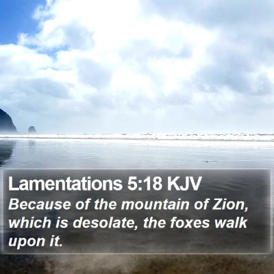 Lamentations 5:18 KJV Bible Verse Image