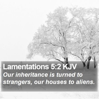 Lamentations 5:2 KJV Bible Verse Image