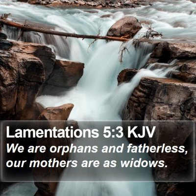 Lamentations 5:3 KJV Bible Verse Image