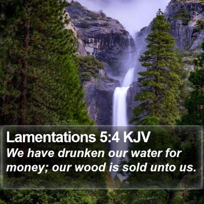 Lamentations 5:4 KJV Bible Verse Image