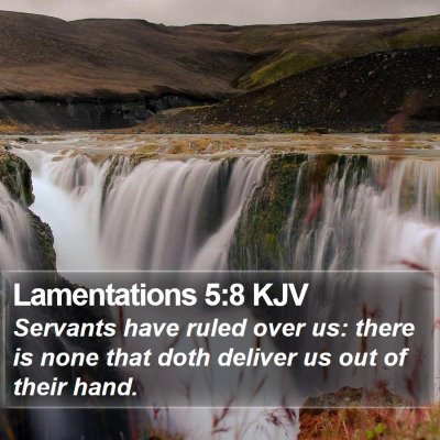 Lamentations 5:8 KJV Bible Verse Image