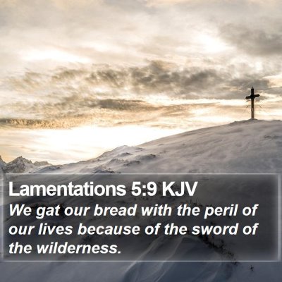 Lamentations 5:9 KJV Bible Verse Image