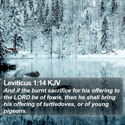 Leviticus 1:14 KJV Bible Verse Image