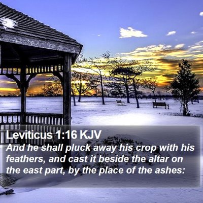 Leviticus 1:16 KJV Bible Verse Image