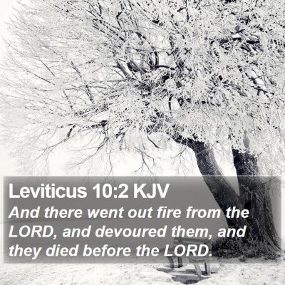 Leviticus 10:2 KJV Bible Verse Image
