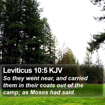 Leviticus 10:5 KJV Bible Verse Image
