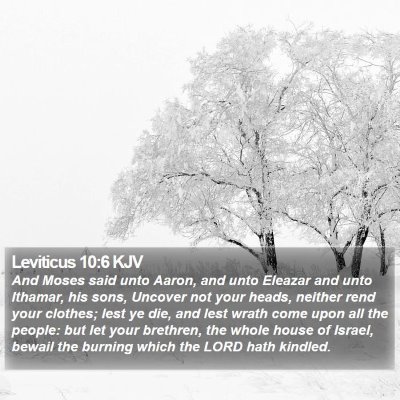 Leviticus 10:6 KJV Bible Verse Image