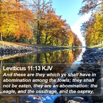 Leviticus 11:13 KJV Bible Verse Image