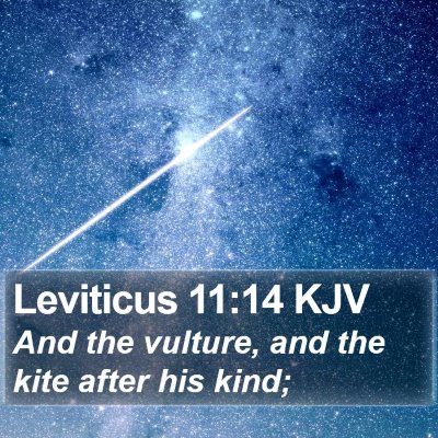 Leviticus 11:14 KJV Bible Verse Image