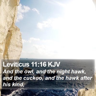 Leviticus 11:16 KJV Bible Verse Image