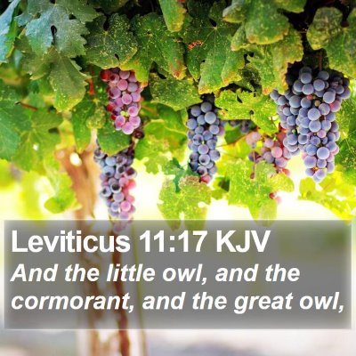 Leviticus 11:17 KJV Bible Verse Image
