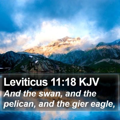 Leviticus 11:18 KJV Bible Verse Image