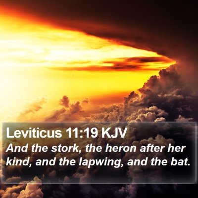 Leviticus 11:19 KJV Bible Verse Image